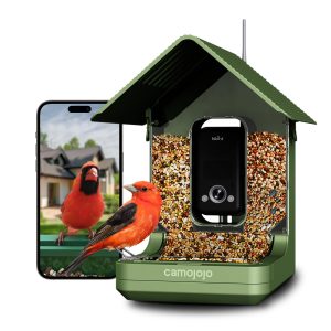 Bird Feeder with Camera of 32MP Photo & 4K Video