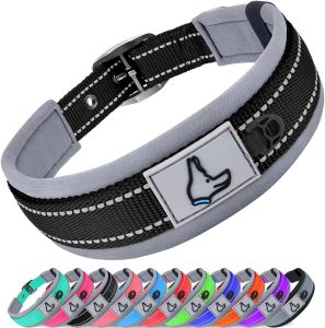 Joytale Reflective Dog Collar Small Dog | Ultra Comfy Soft Neoprene Padded | Heavy Duty Metal Belt Buckle