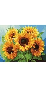 Small sunflowers for A+.png