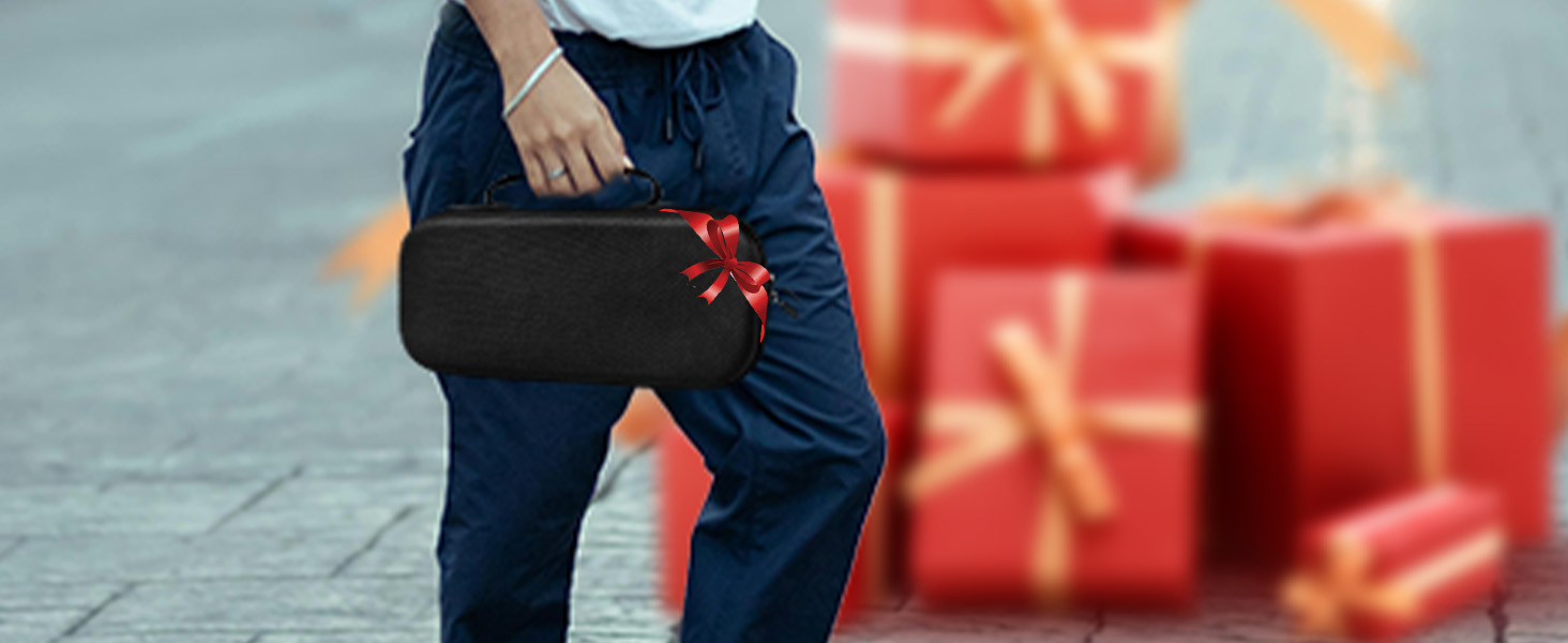 playstation 5 portal case