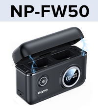 NP-FW50 usb c fast charger