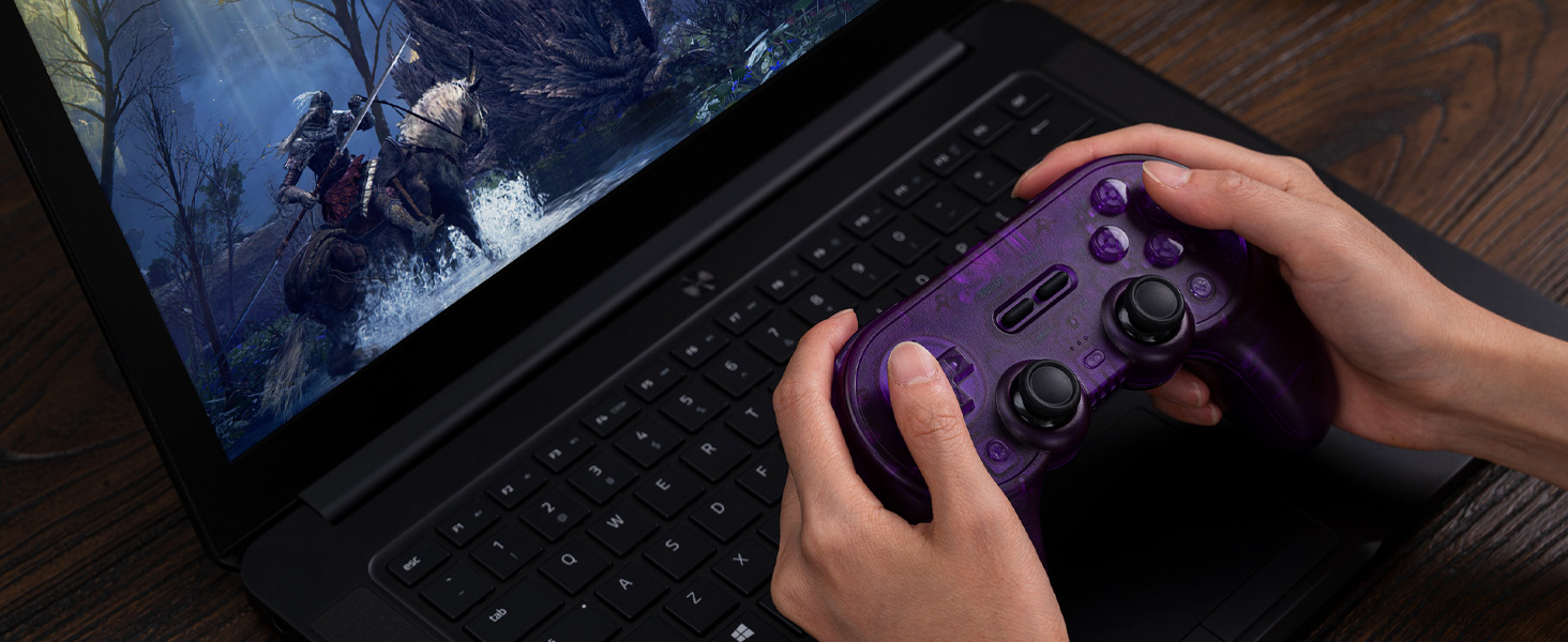 8bitdo pro 2