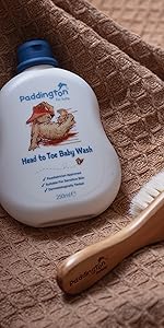 Paddington Baby