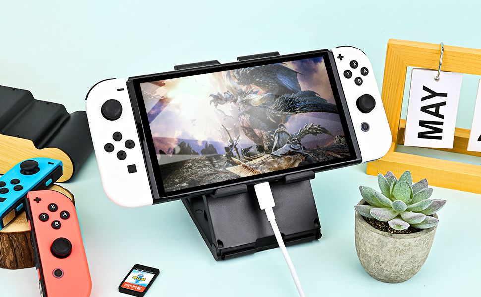 Switch Stand