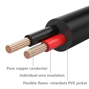 Car Power Inverters