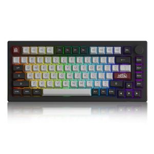 Akko Dracula Castle 5075B Wireless Mechanical Gaming Keyboard Triple Modes Gasket Mount RGB