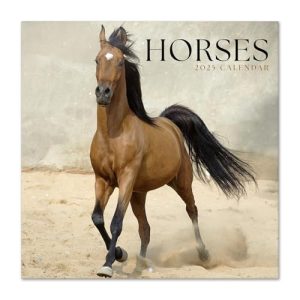 Grupo Erik Wall Calendar 2025 - Horses | 12" x 12" Square Calendar 2025