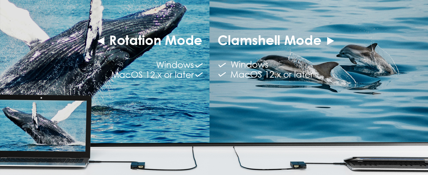 USB C to Dual HDMI Adapter 6902h