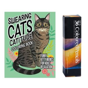 SwearingCats Colouring Book