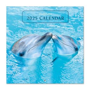 Grupo Erik Wall Calendar 2025 - Dolphins | 12" x 12" Square Calendar 2025