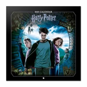 Grupo Erik Harry Potter Wall Calendar 2025 | 12" x 12" Square Calendar 2025