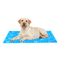 dog cooling mat