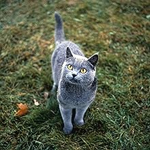 pet sematary (1989) film still 2