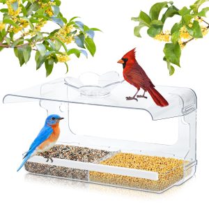Window Bird Feeder with Non-Marking Self-Adhesive Hooks