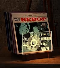 Vinyl Record Storage