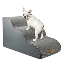 dog step