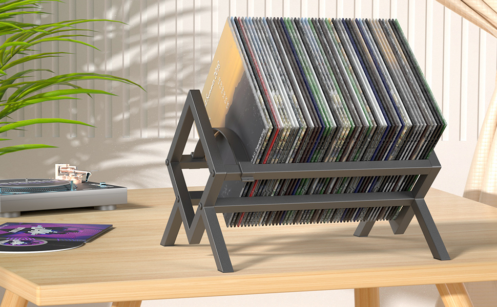 Vinyl Record Storage Holder