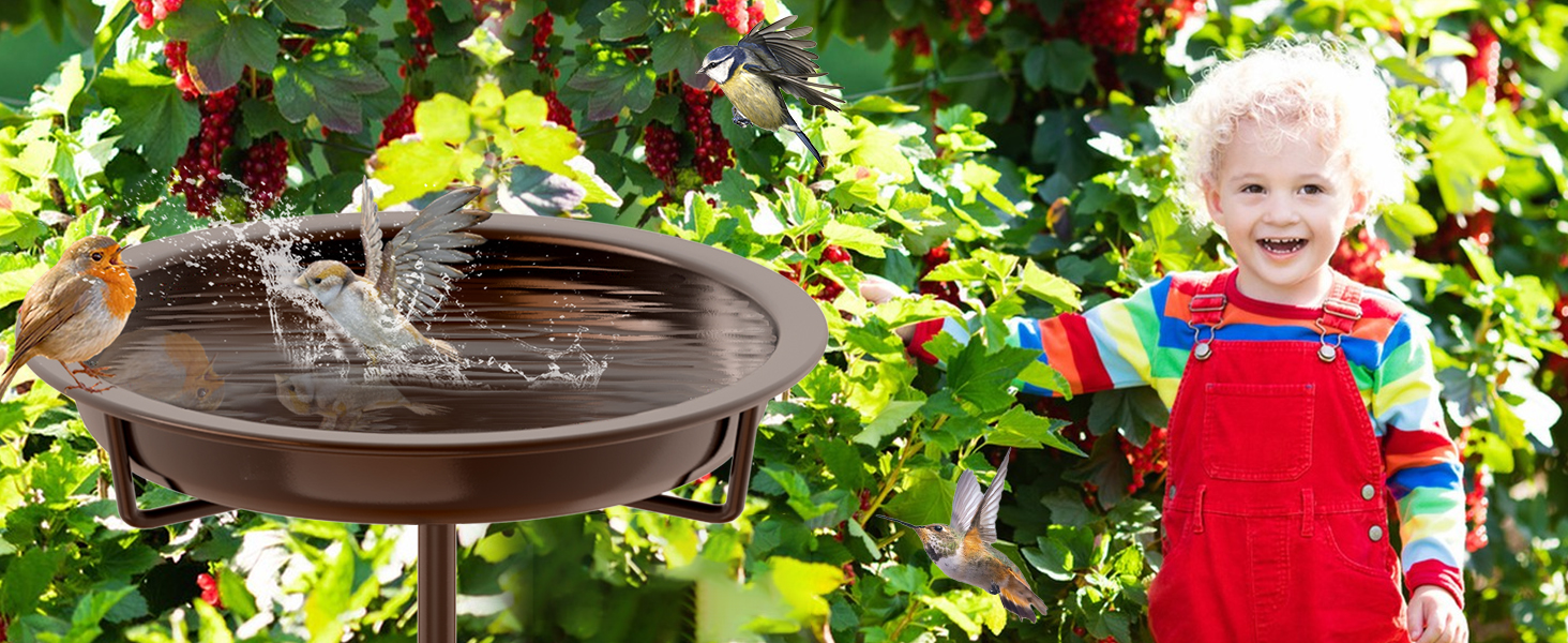 Birdbath
