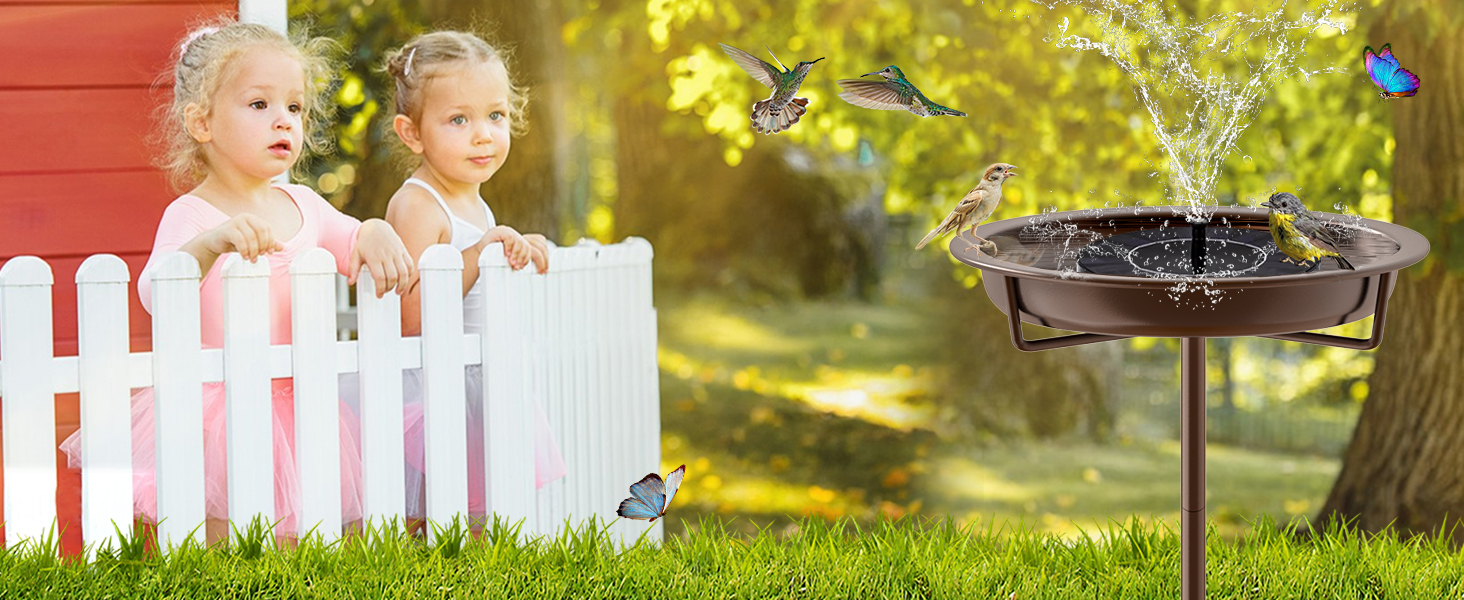 Bird Feeder