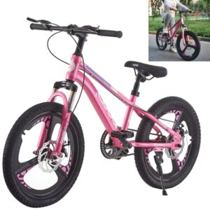 LSLIFE Kids Mountain Bike for Boys Girls 18 20 Inch Kids Bicycle for 6-14 Years Old Boys Girls with Shock Absorber Dual Disc Brake