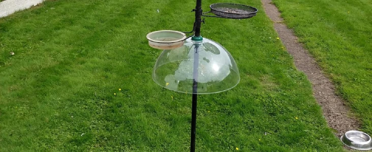 bird feeders hanging squirrel proof,squirrel proof feeder,squirrel deterrent for bird feeder,
