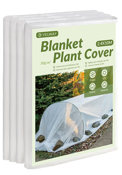Plant Cover