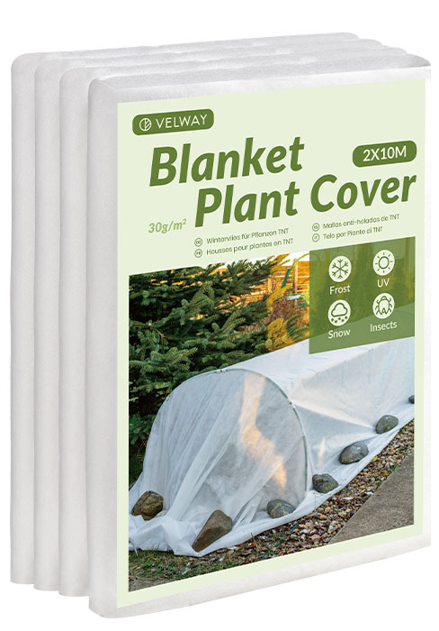 Plant Cover