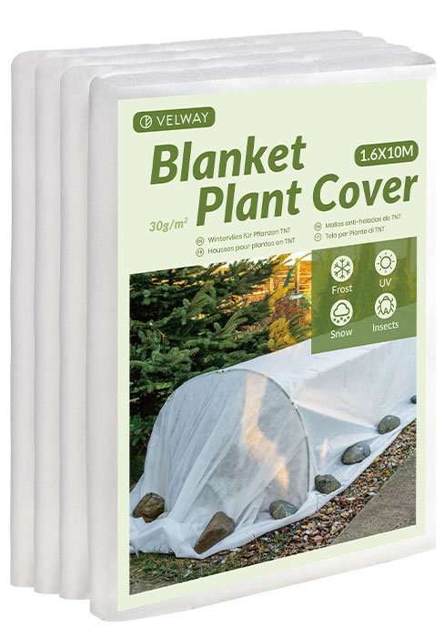 Plant Cover