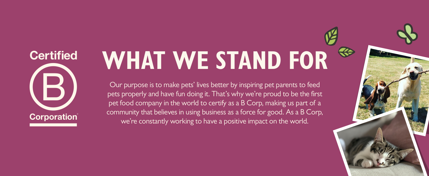 Lily’s Kitchen What We Stand for 2023 A+