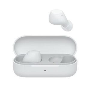Sony WF-C510 Truly Wireless Earbuds – Small