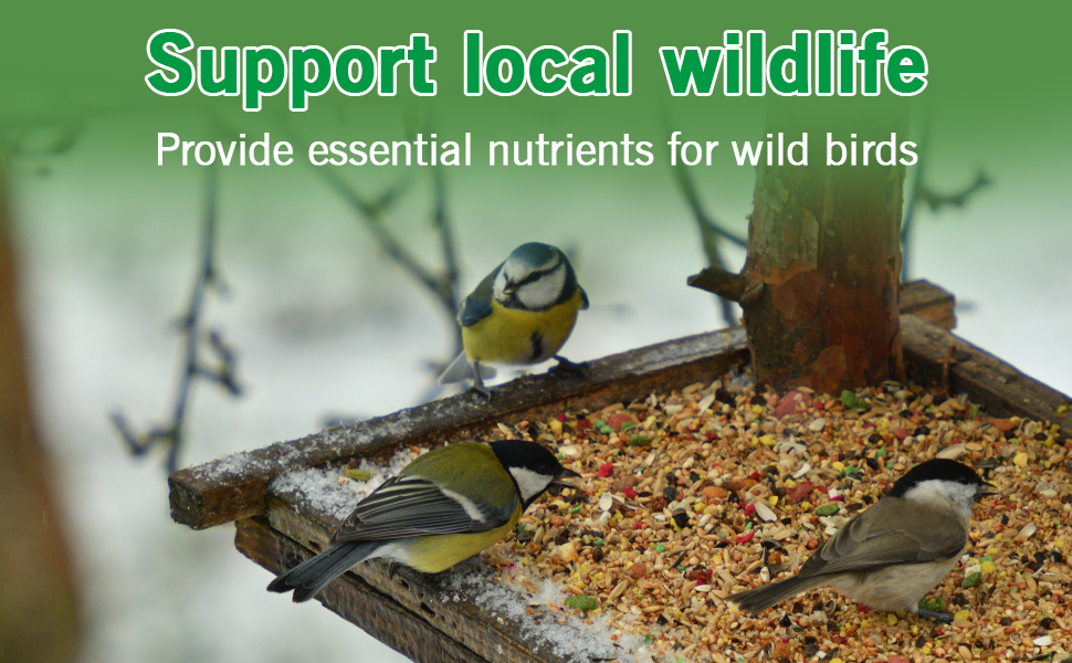 no grow bird seed mix for wild birds