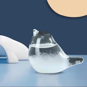 Storm Glass Weather Forecast Bottle - Snow Globes Barometer