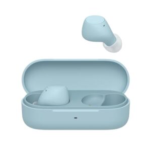 Sony WF-C510 Truly Wireless Earbuds – Small