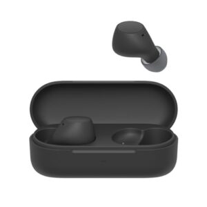 Sony WF-C510 Truly Wireless Earbuds – Small