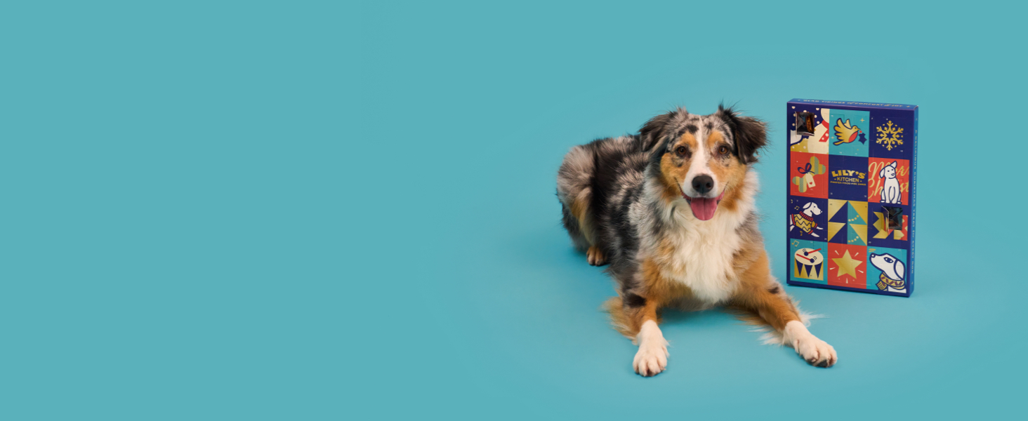 Lily’s Kitchen Christmas 2023 A+ Dog Advent