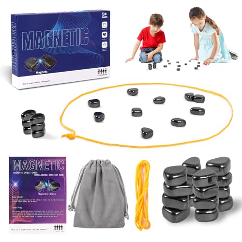 Magnetic Chess