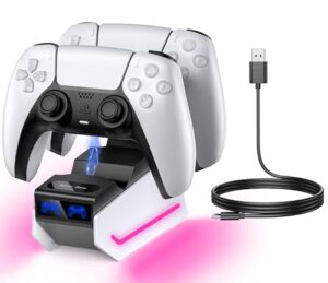 PS5 Controller Charger