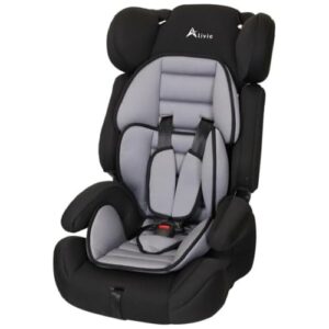 Alivio Adjustable Car Seat for Toddlers & Children