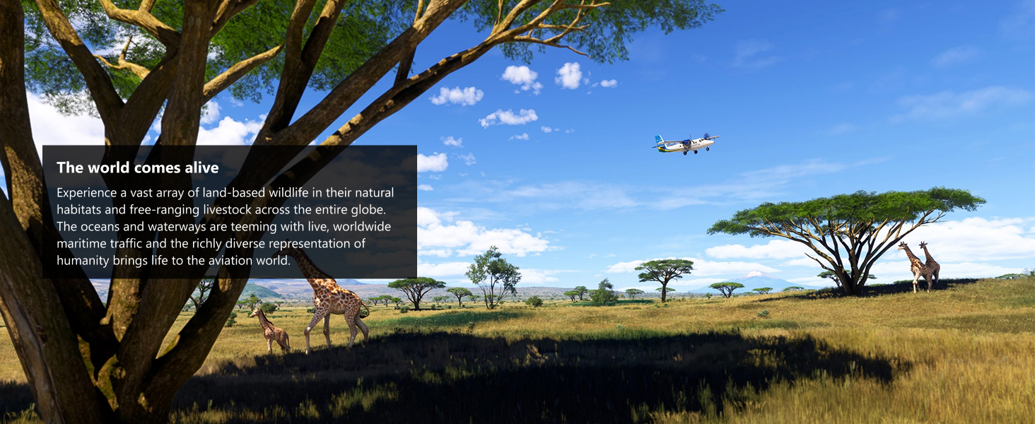 Flight Simu 2024 Premium Deluxe Steelbook