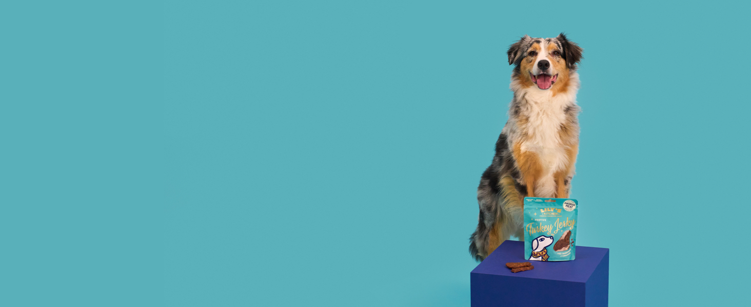 Lily’s Kitchen Christmas 2023 A+ Turkey Jerky