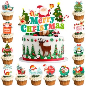 Christmas Cake Decorations