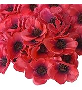 Remembrance Day Poppy Bunting 18 Pcs Lest We Forget Flag 10m Decorations Banner for Commemoration...