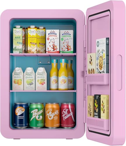 Rebongki Mini Fridge 22L/ 30 Cans Cooler and Warmer Portable Mini Fridge for Bedrooms with Adjustable Shelves