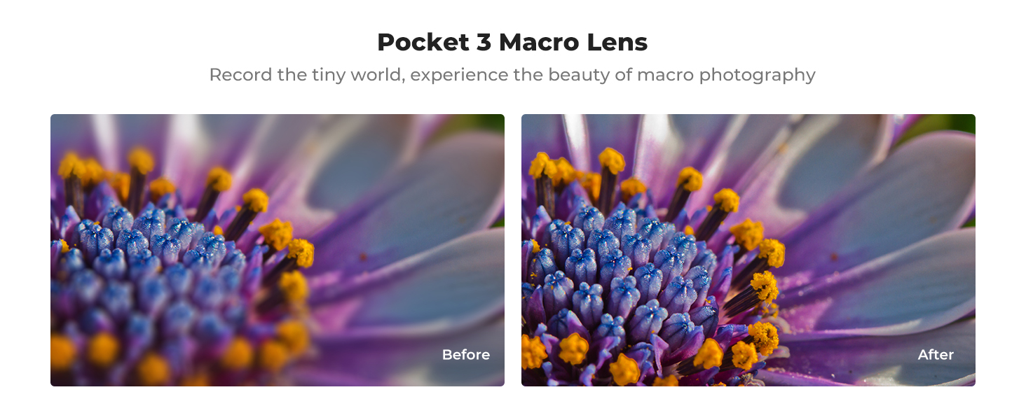osmo pocket macro lens