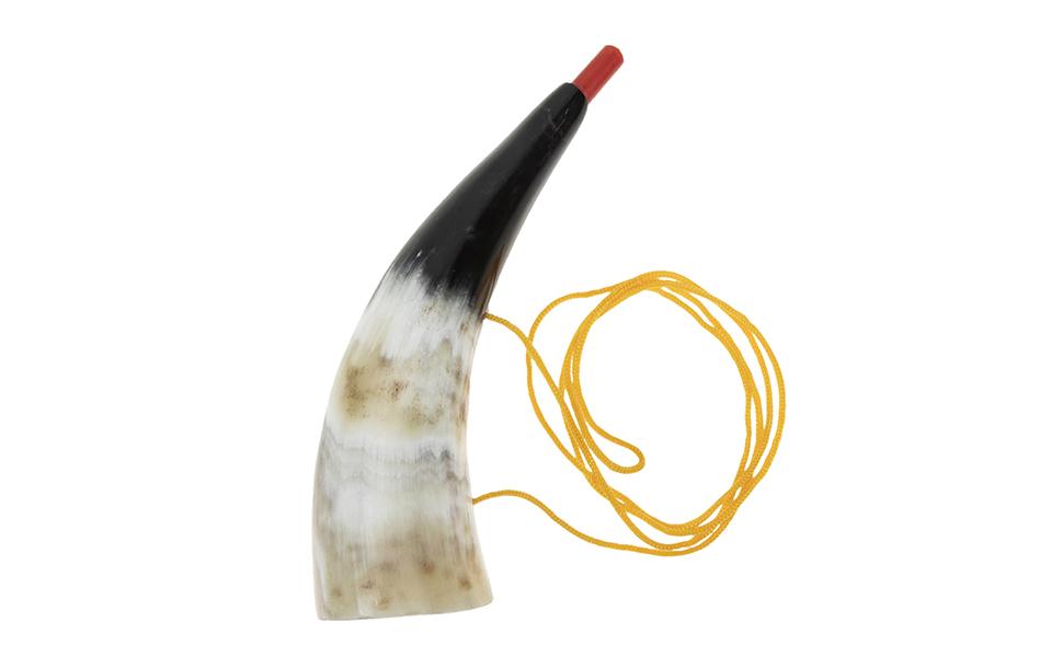 Natural Horn Toy