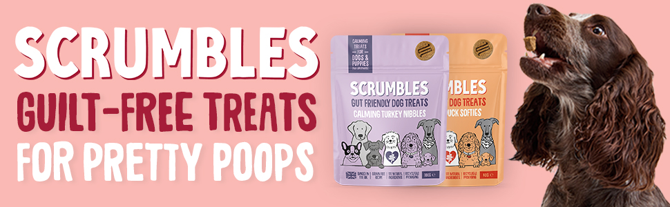 Dog Treats Banner