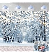 Christmas Wood Wall Photography Backdrop Rustic Wooden Floor Background Winter Holiday Glitter Ch...