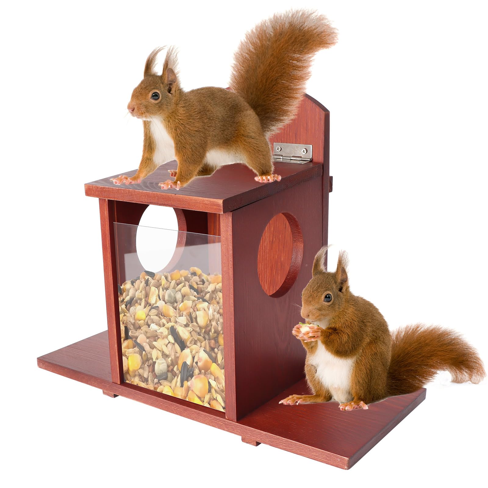 Suewidfay Squirrel Feeder with Lift-Up Lid