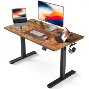 FEZIBO Height Adjustable Electric Standing Desk