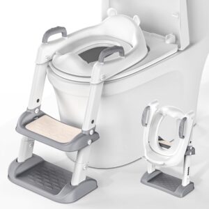 Potty Training Seat and Step